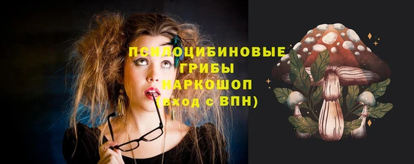 гидра Алексин