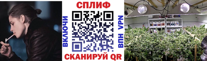 МАРИХУАНА SATIVA & INDICA Нея